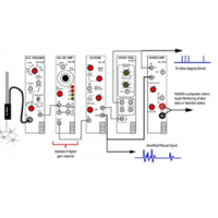 NeuroLog System Application Amplification Modes