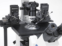 XenoWorks® Microinjection Systems