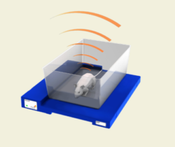 Implantable Rat Telemetry System